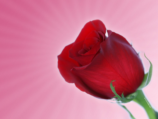 430974 (a): :1600x1200